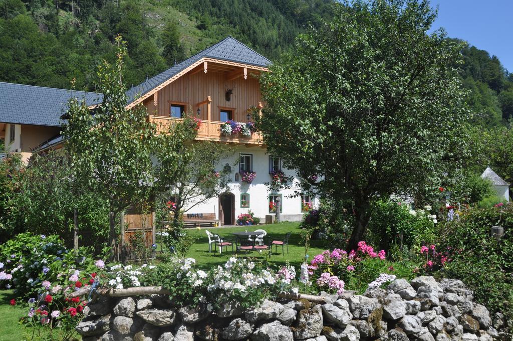 Ferienwohnung Dichtlbauer سانكت جيلجن المظهر الخارجي الصورة